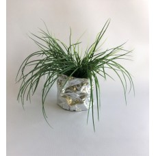 Grass Arrangement (FL108)