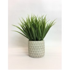Decorative Grass (FL112)