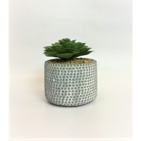 Succulent Pot (FL117)