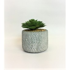 Succulent Pot (FL117)