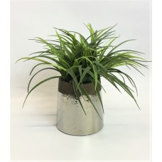 Decorative Grass (FL118)