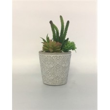 Small Succulent (FL124)