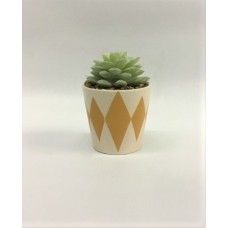 Small Succulent (FL127)