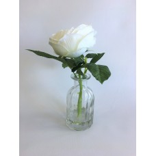 White Rose (FL59)