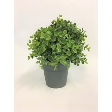 Small Greenery Pot (FL62)