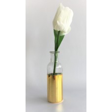 White Rose (FL67)