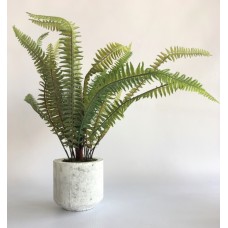 Greenery Arrangement (FL69)