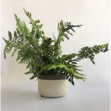 Greenery Arrangement (FL75)