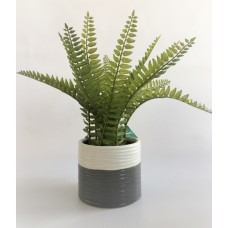 Green Plant (FL76)