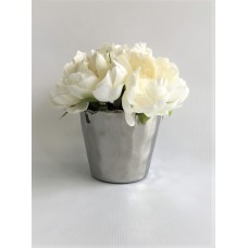 White Rose (FL80)