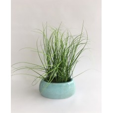 Grass Arrangement (FL85)