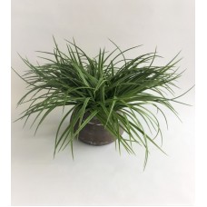 Grass Arrangement (FL90)