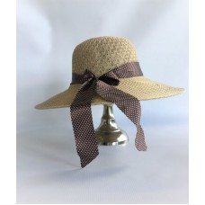 HAT (MISC100)