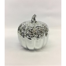 Silver Pumpkin (MISC131)