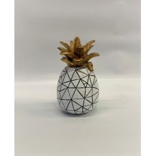 Pineapple (MISC138)