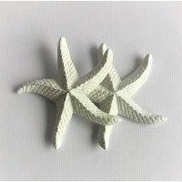 Starfish (MISC88)