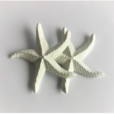 Starfish (MISC88)