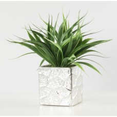 Grass Silver Pot (FL01)