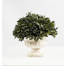 Greenery Ceramic Planter (FL14)