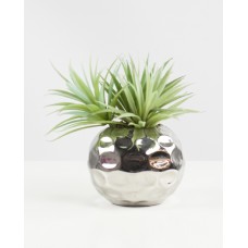 Green Grass Silver Pot (FL13)