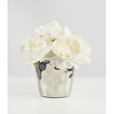 Flowers Silver Pot (FL15)