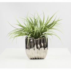 Grass Silver Pot (FL12)