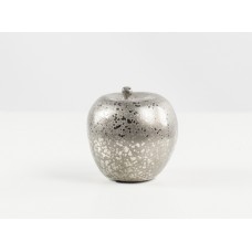 Silver Apple (MISC14)