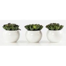 Flower Pots  (FL29)