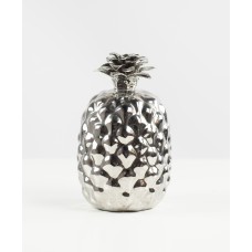 Silver Pineapple (MISC04)