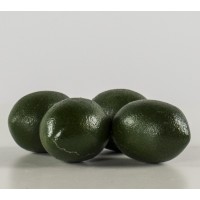 Limes (Set of 4) (PR03)