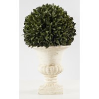 Topiary Arrangement (FL34)