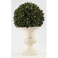 Topiary Arrangement (FL34)