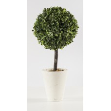 Topiary (FL35)