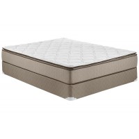 Twin Mattress and Box Spring (MTRS-TW01)
