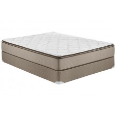 Queen Mattress and Box Spring (MTRS-QN01)