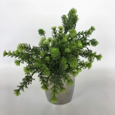 Greenery Pot (FL53)